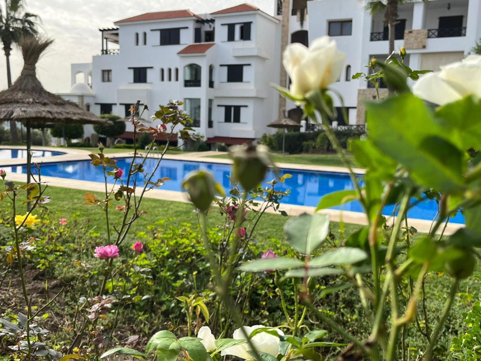 Lilac'S Garden Vue Piscine M'dik Exterior foto